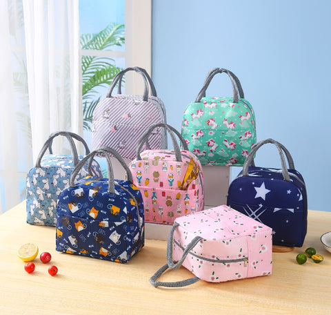 Insulated Fashion Lunch Bag