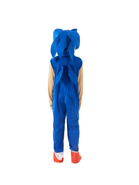 Sonic Costume