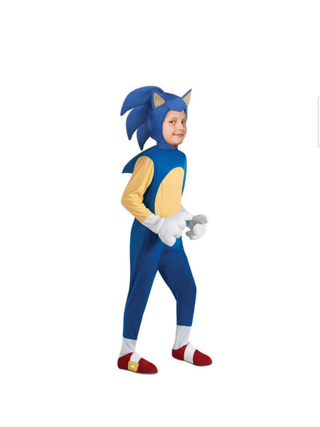 Sonic Costume