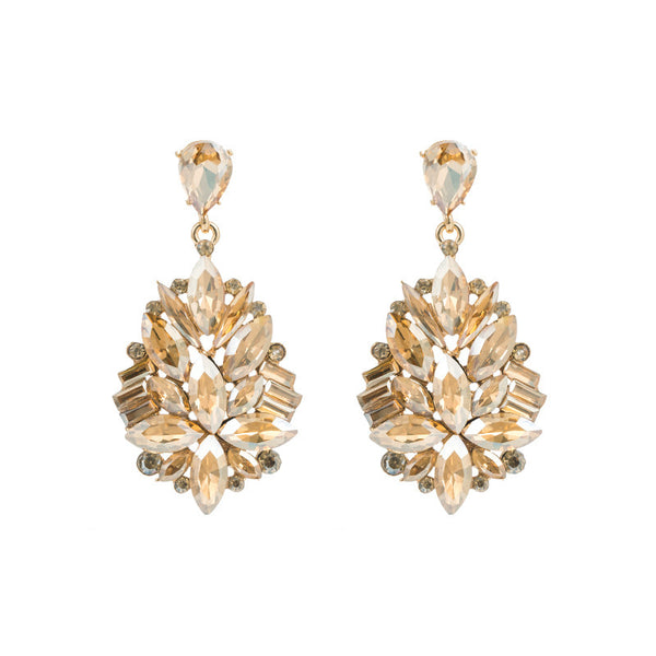 Diamond Encrusted High End Earrings