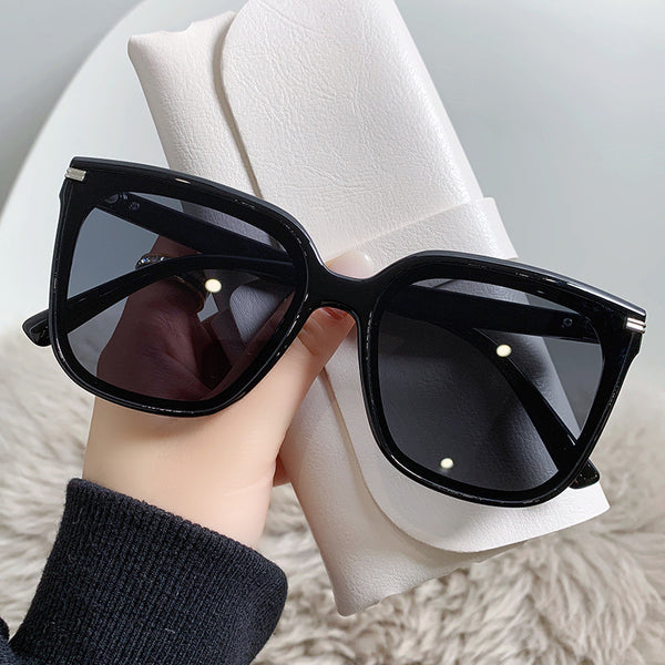 Large Frame Sunglasses SD4103