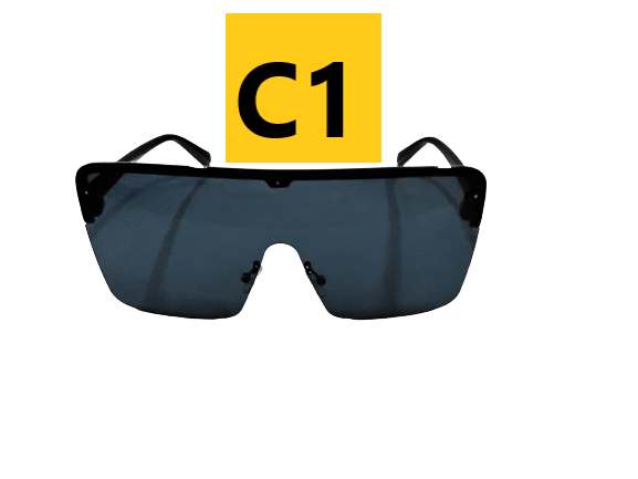 Sunglasses 6776