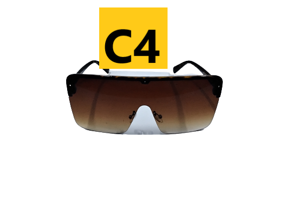 Sunglasses 6776