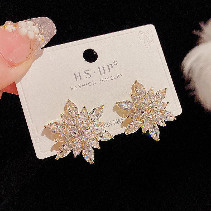Flash Zircon Earrings