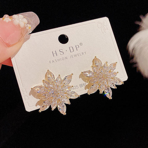 Flash Zircon Earrings