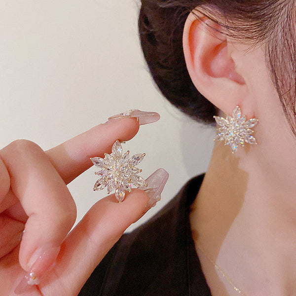 Flash Zircon Earrings