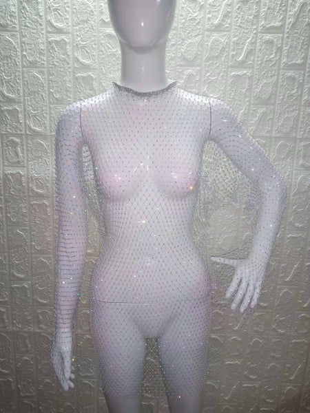 Rhinestone Fishnet Long Sleeve Dress 1071