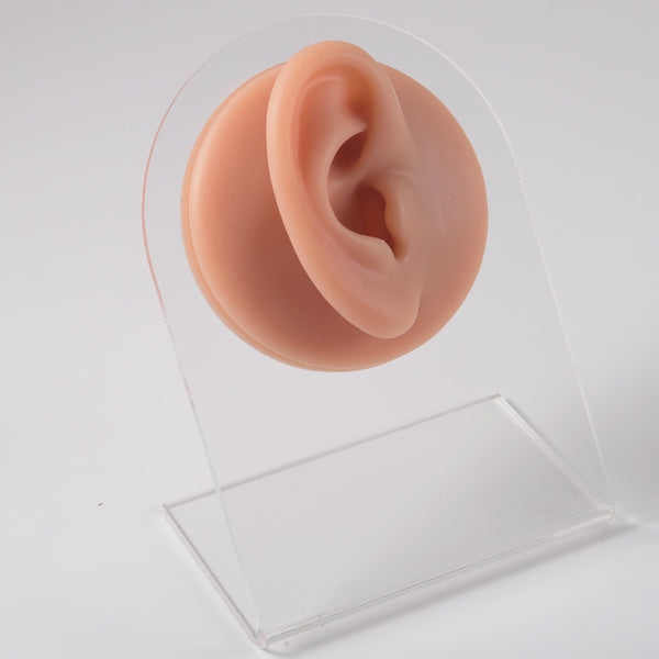 Silicone Body Piercing Displays
