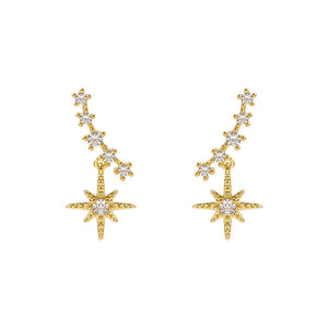 Sparkling Star Zircon Smile Earrings