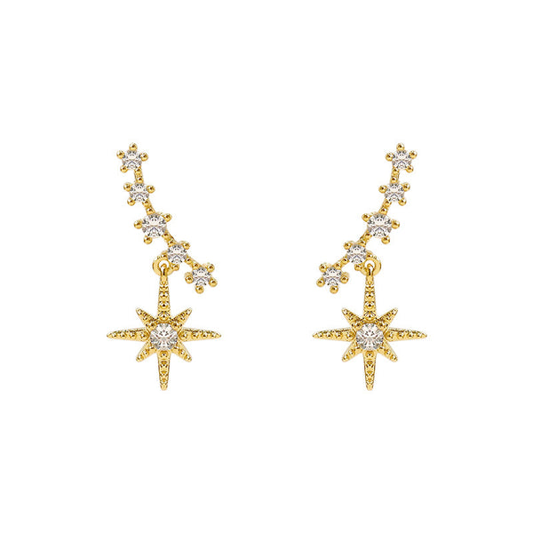 Sparkling Star Zircon Smile Earrings