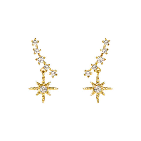 Sparkling Star Zircon Smile Earrings