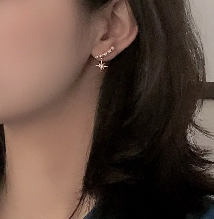 Sparkling Star Zircon Smile Earrings