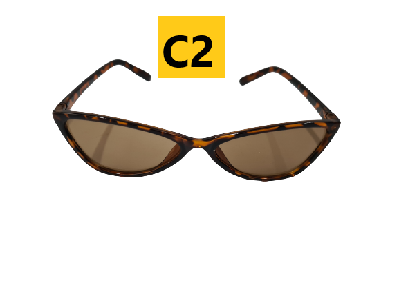 Summer Trendy Sunglasses 1163