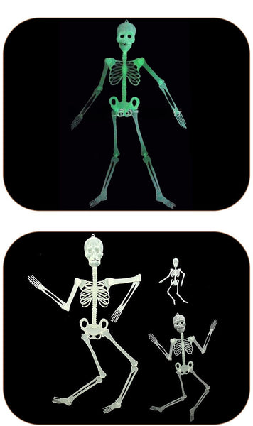 Glow In The Dark Skeleton