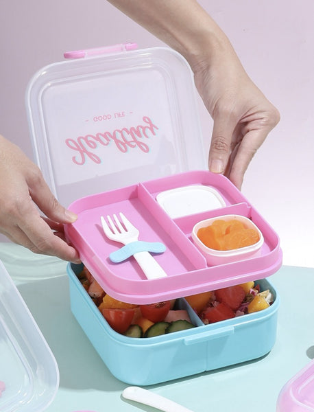 Double Layer Compartment Lunch Box