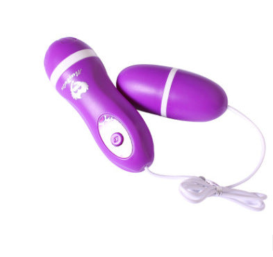 Vibrating Egg Vibrator