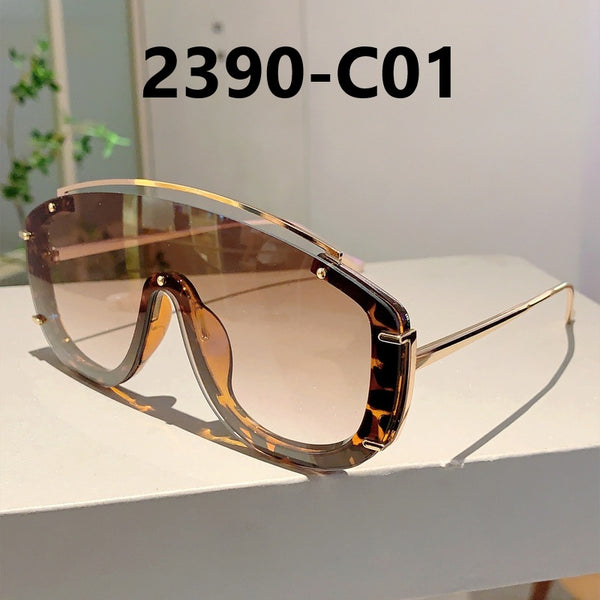 Large Frame Border Sunglasses