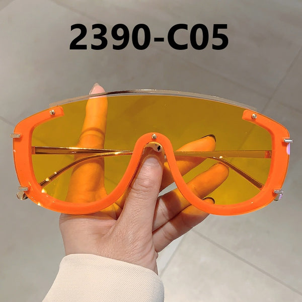 Large Frame Border Sunglasses
