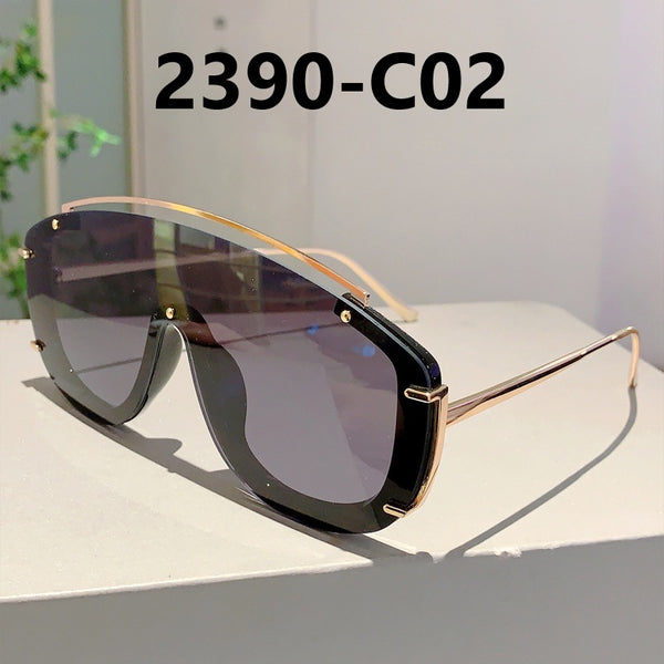 Large Frame Border Sunglasses