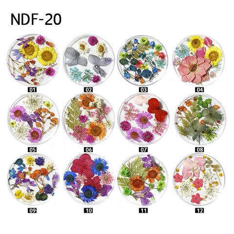 Nail Art Dried Flowers
