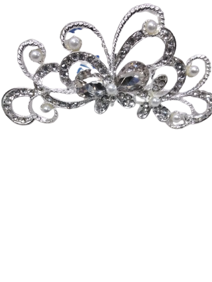 Wedding Hair Combs